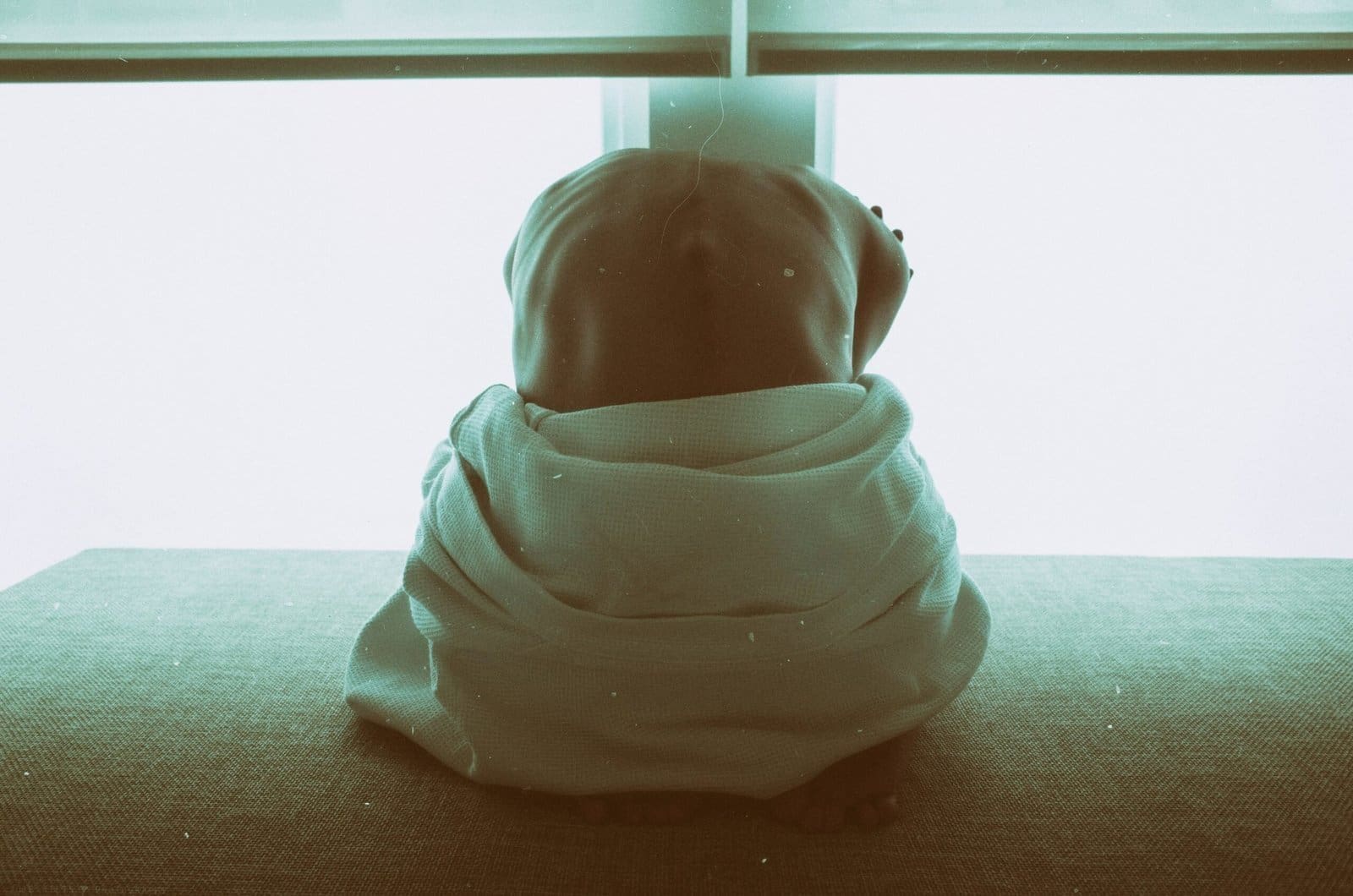 Why Does God Allow Suffering? An Exploration of Pain and Evil in the World 1 woman sitting on black surface inside room